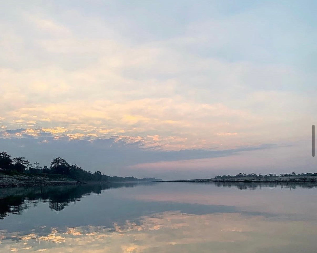 Image captured by Leena Das